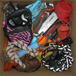 Surprise pet toy, clothing or accessory